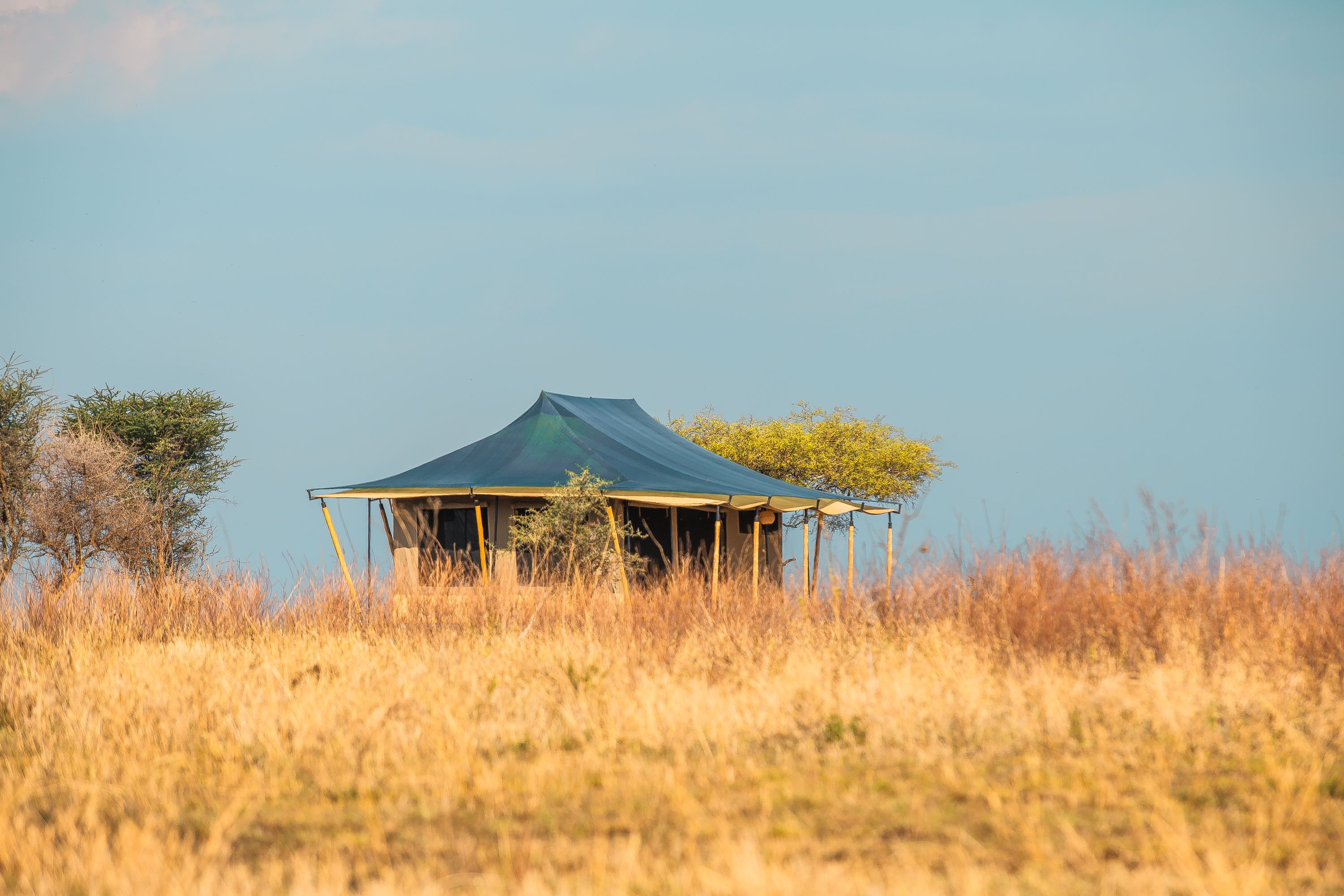6 DAYS LUXURY FOUR SEASON LODGE SAFARI TO TANZANIA BEST PARKS