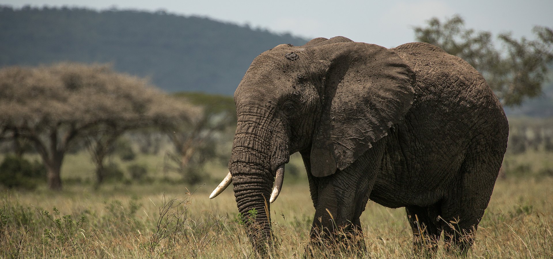 3 DAYS  SAFARI START FROM NAIROBI  TO NAIROBI